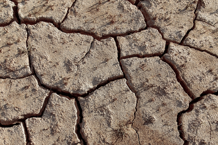 incubator-global-warming-2025.png